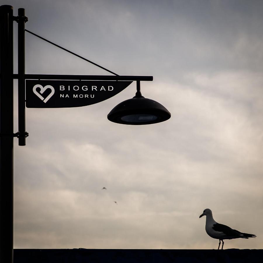 Apartmani Dina Biograd Na Moru Eksteriør billede