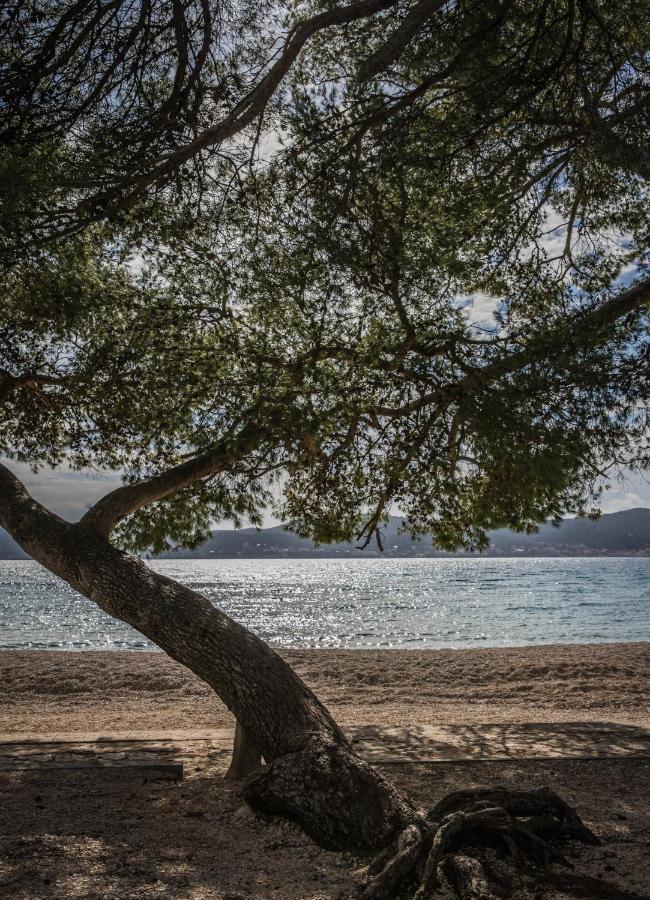 Apartmani Dina Biograd Na Moru Eksteriør billede