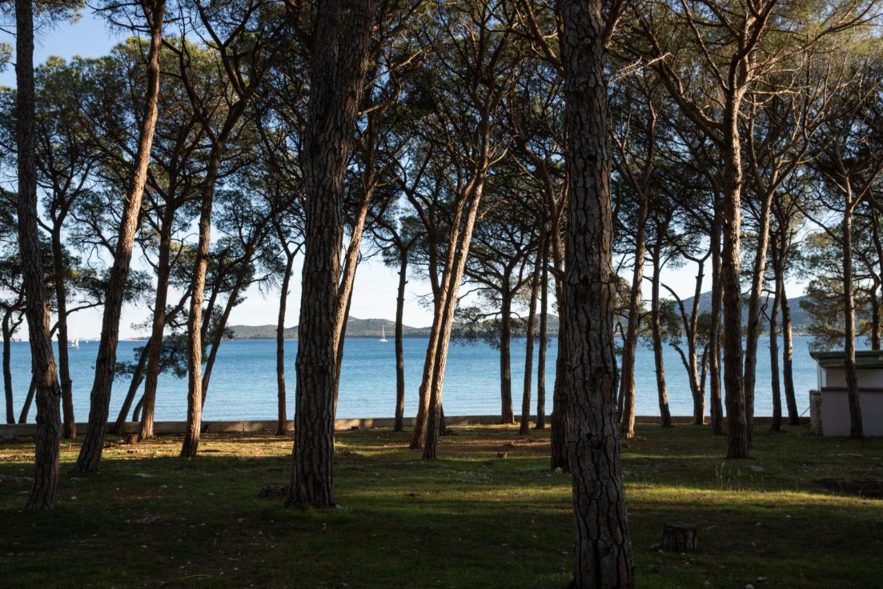 Apartmani Dina Biograd Na Moru Eksteriør billede